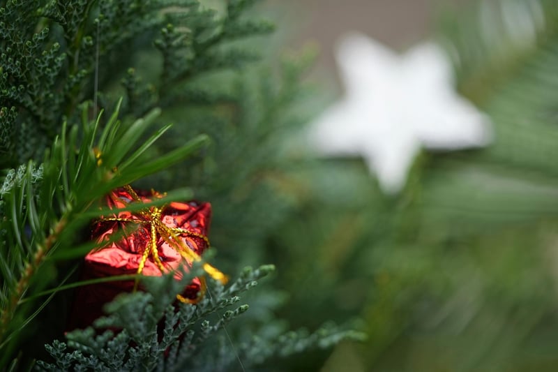 Green Themed Gifts