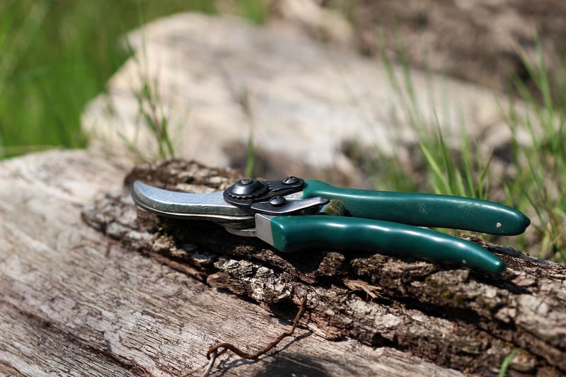 Hand Pruners