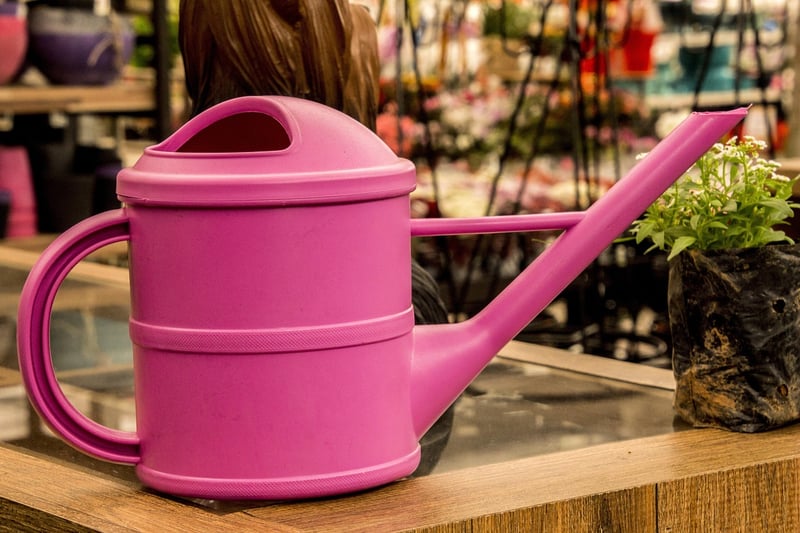 Watering Can